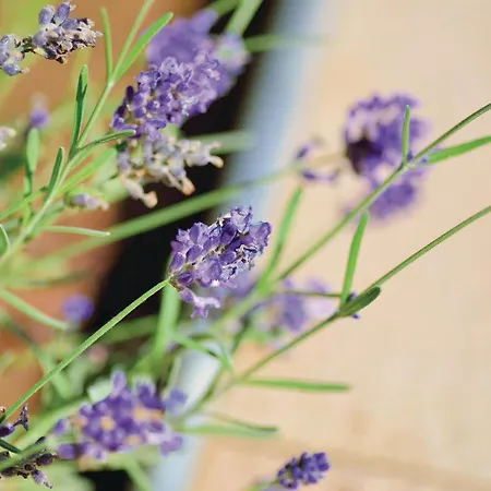 Hrvoja 05 Apartmán Zadar